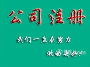 長安代理記賬與營業(yè)執(zhí)照代辦服務(wù)，助力文化藝術(shù)交流活動順利開展